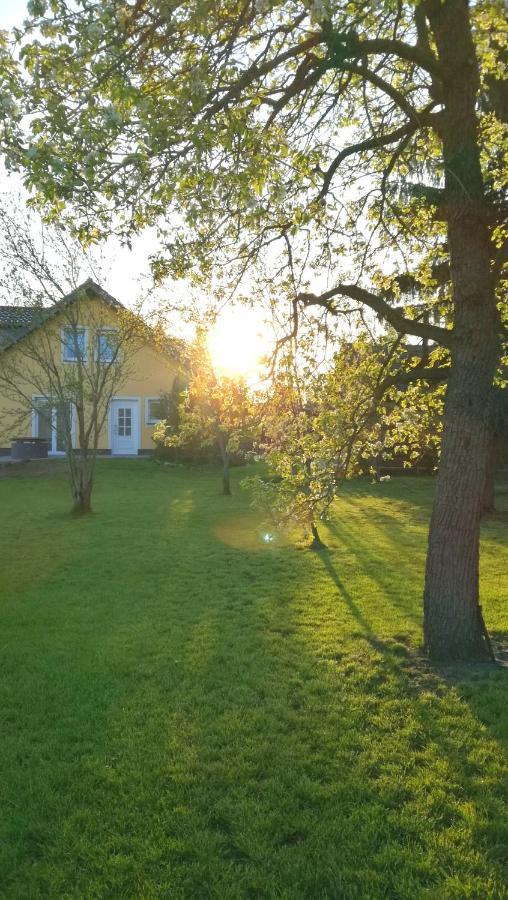 Ferienwohnung Luba Lipa Drachhausen Bagian luar foto